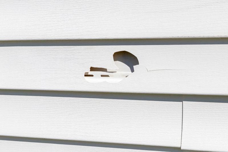 Repairing Cracks in Vinyl Siding